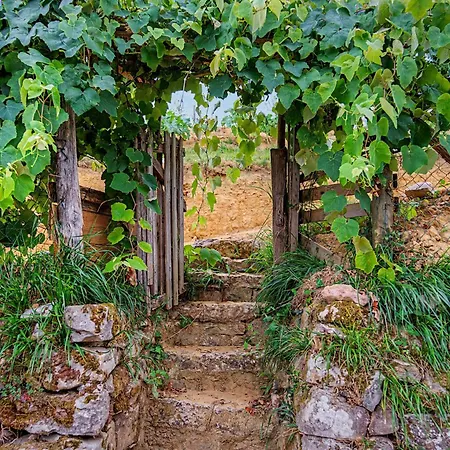 Летний дом Casa Del Tesoro *